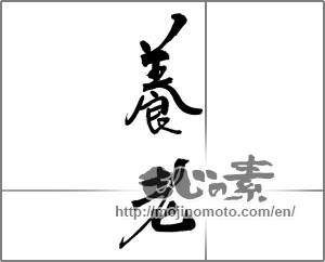 Japanese calligraphy "養老" [21377]