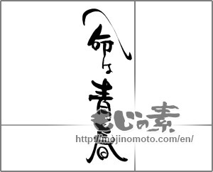Japanese calligraphy "命は青春" [21891]