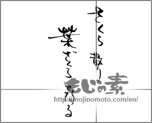 Japanese calligraphy "さくら散り葉ざくらとなる" [21902]