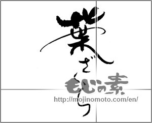 Japanese calligraphy "葉ざくら" [21905]