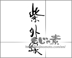 Japanese calligraphy "紫外線" [21999]