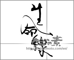 Japanese calligraphy "生命線" [22335]