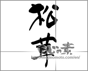 Japanese calligraphy "松茸 (matsutake mushroom)" [22433]