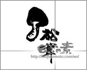 Japanese calligraphy "松茸 (matsutake mushroom)" [22679]