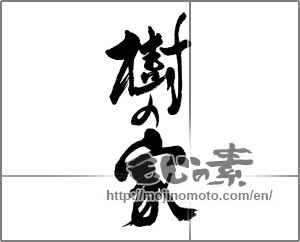 Japanese calligraphy "樹の家" [22769]