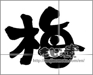 Japanese calligraphy "梅 (Japanese apricot)" [23054]