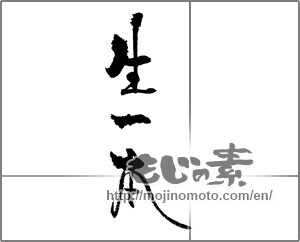 Japanese calligraphy "生一本" [23310]