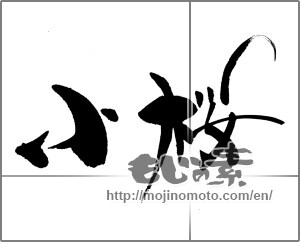 Japanese calligraphy "小桜" [23510]