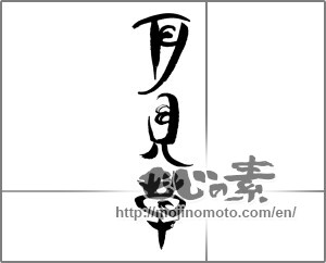 Japanese calligraphy "月見草" [24222]