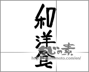 Japanese calligraphy "和洋食" [24249]