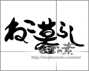 Japanese calligraphy "ねこ暮らし" [24257]