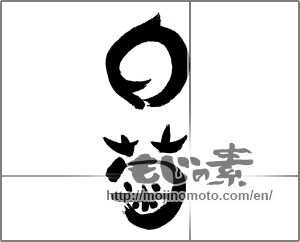Japanese calligraphy "白菊" [24261]