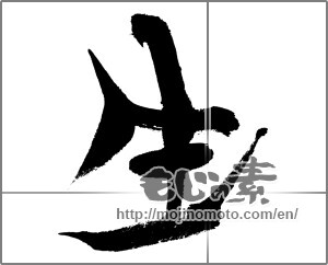 Japanese calligraphy "生 (Raw)" [24342]