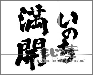 Japanese calligraphy "いのち満開" [24387]