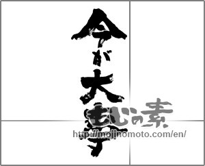 Japanese calligraphy "今が大事" [24431]