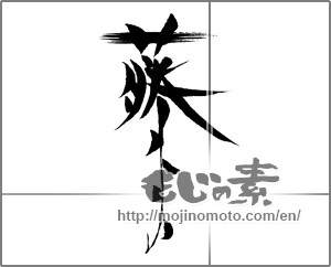 Japanese calligraphy "藤" [24562]