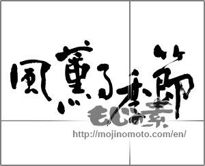 Japanese calligraphy "風薫る季節" [24607]