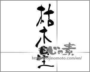 Japanese calligraphy "枯木星" [25046]