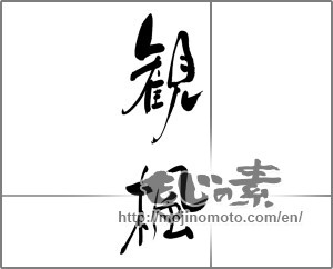 Japanese calligraphy "観楓" [25068]