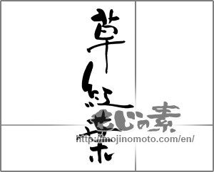 Japanese calligraphy "草紅葉" [25070]