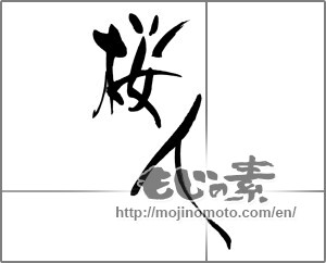 Japanese calligraphy "桜人" [25090]