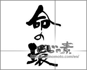 Japanese calligraphy "命の環" [25258]