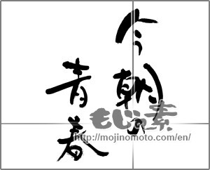 Japanese calligraphy "今朝の青春" [25342]
