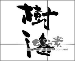Japanese calligraphy "樹海" [26020]