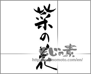 Japanese calligraphy "菜の花 (rape blossoms)" [27271]