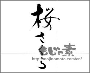 Japanese calligraphy "桜さくら (Cherry blossoms)" [27305]