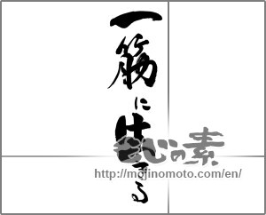 Japanese calligraphy "一筋に生きる" [28097]