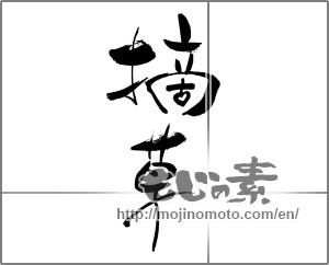 Japanese calligraphy "摘草" [28316]