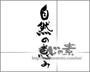 Japanese calligraphy "自然の恵み" [28679]