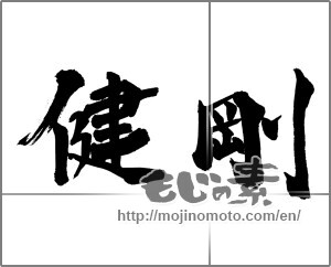 Japanese calligraphy "健剛" [28681]