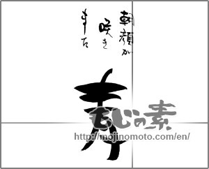 Japanese calligraphy "朝顔が咲きました　青" [29329]