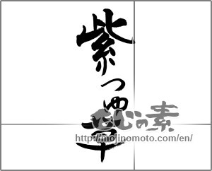 Japanese calligraphy "紫つゆ草" [29634]