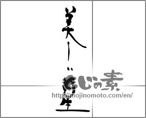 Japanese calligraphy "美しい星" [29730]