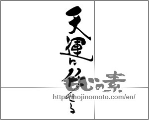 Japanese calligraphy "天運に任せる" [30747]