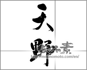 Japanese calligraphy "天野" [32381]