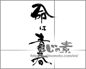 Japanese calligraphy "命は青春" [32920]