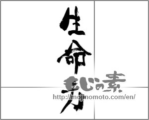 Japanese calligraphy "生命力" [33213]