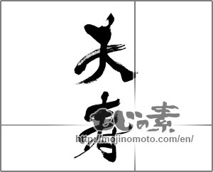 Japanese calligraphy "天寿" [33367]