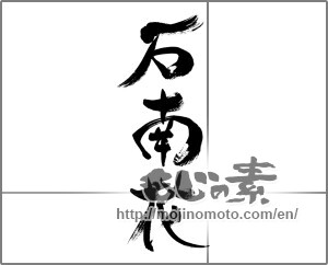 Japanese calligraphy "石南花" [33531]