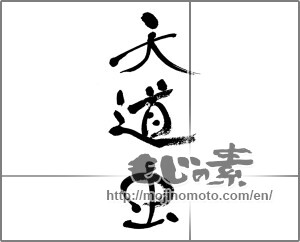 Japanese calligraphy "天道虫" [33624]