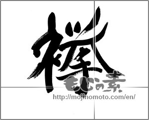 Japanese calligraphy "欅" [33698]