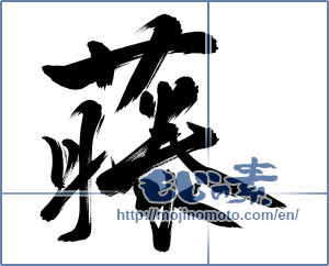 Japanese calligraphy "藤" [13353]