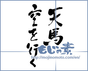 Japanese calligraphy "天馬空を行く (to advance unobstructed)" [6042]