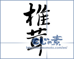 Japanese calligraphy "椎茸 (shiitake mushroom)" [6226]
