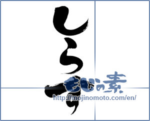 Japanese calligraphy "しらす (Whitebait)" [6362]