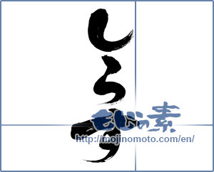 Japanese calligraphy "しらす (Whitebait)" [6363]